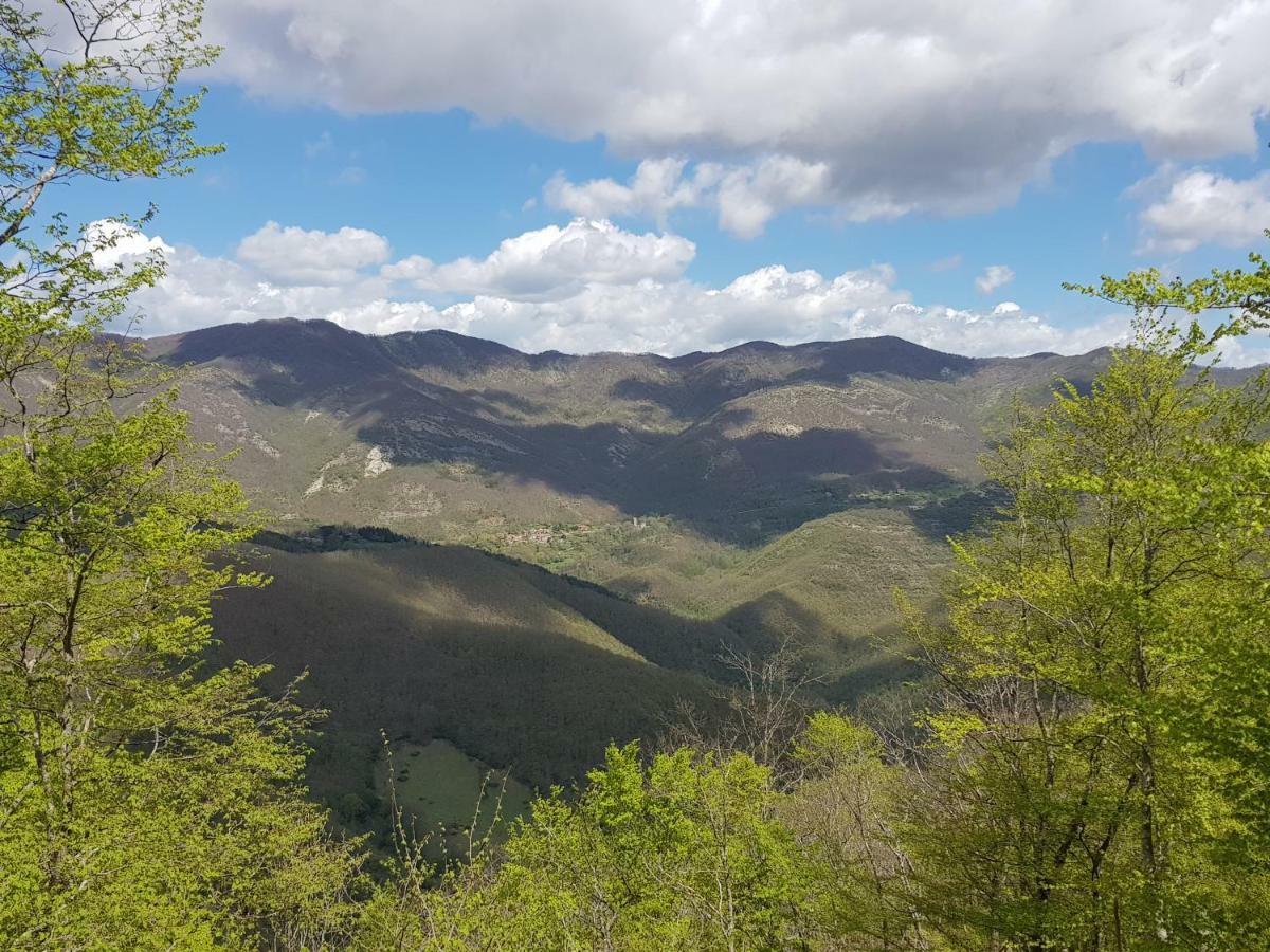 Alla Battuta Sansepolcro Exteriör bild