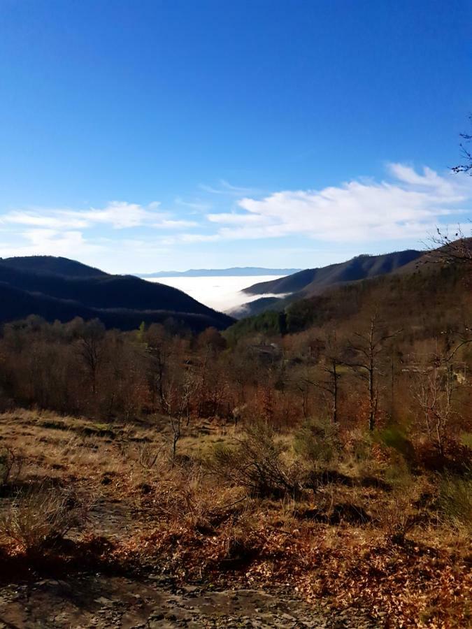 Alla Battuta Sansepolcro Exteriör bild